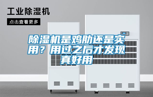 除濕機(jī)是雞肋還是實(shí)用？用過之后才發(fā)現(xiàn)真好用