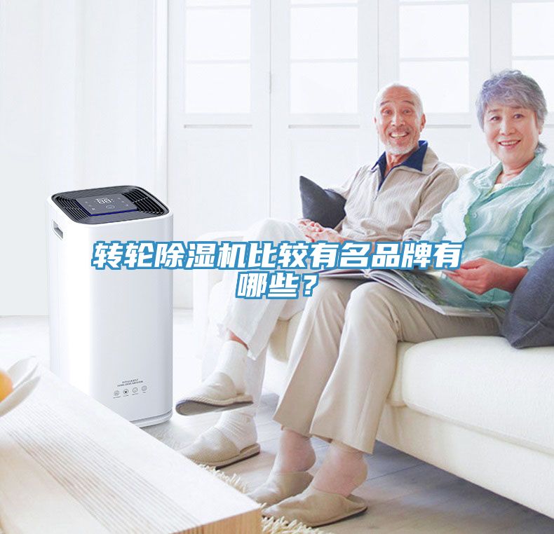 轉(zhuǎn)輪除濕機(jī)比較有名品牌有哪些？