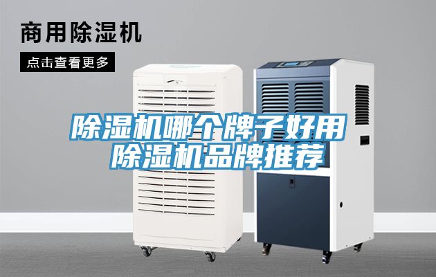 除濕機(jī)哪個(gè)牌子好用 除濕機(jī)品牌推薦