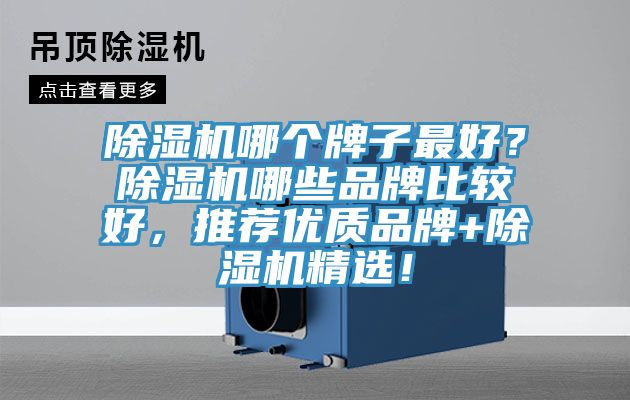 除濕機(jī)哪個牌子最好？除濕機(jī)哪些品牌比較好，推薦優(yōu)質(zhì)品牌+除濕機(jī)精選！