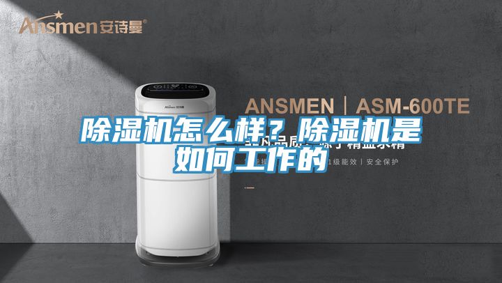 除濕機(jī)怎么樣？除濕機(jī)是如何工作的