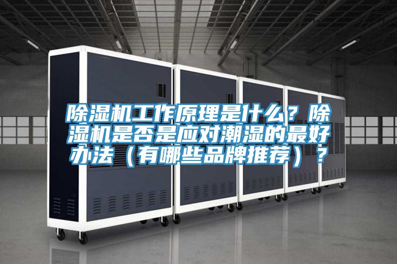 除濕機工作原理是什么？除濕機是否是應(yīng)對潮濕的最好辦法（有哪些品牌推薦）？