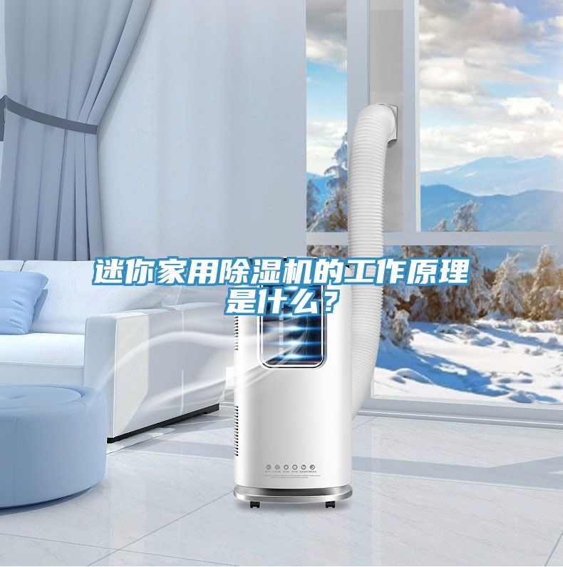 迷你家用除濕機(jī)的工作原理是什么？