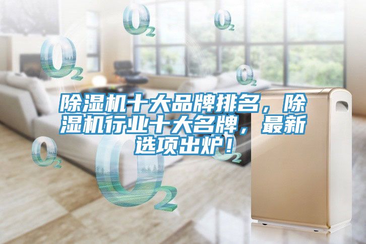 除濕機(jī)十大品牌排名，除濕機(jī)行業(yè)十大名牌，最新選項(xiàng)出爐！