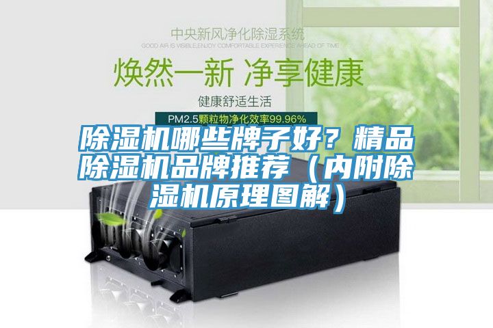 除濕機哪些牌子好？精品除濕機品牌推薦（內(nèi)附除濕機原理圖解）