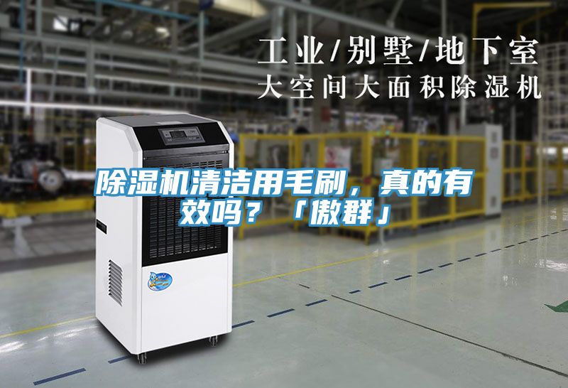 除濕機清潔用毛刷，真的有效嗎？「傲群」