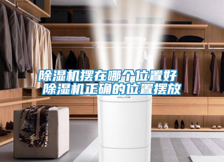 除濕機(jī)擺在哪個位置好 除濕機(jī)正確的位置擺放