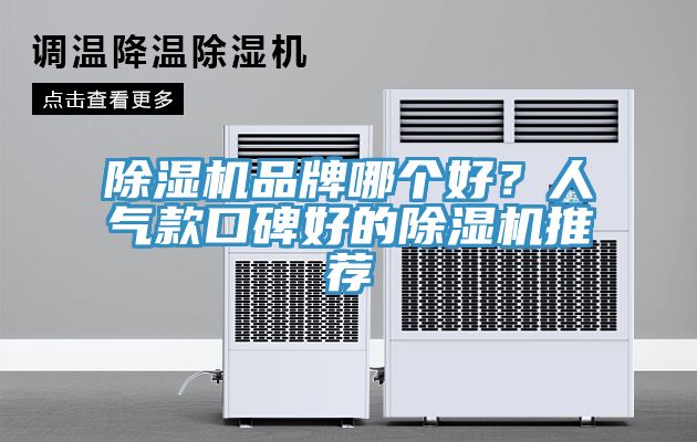 除濕機(jī)品牌哪個好？人氣款口碑好的除濕機(jī)推薦