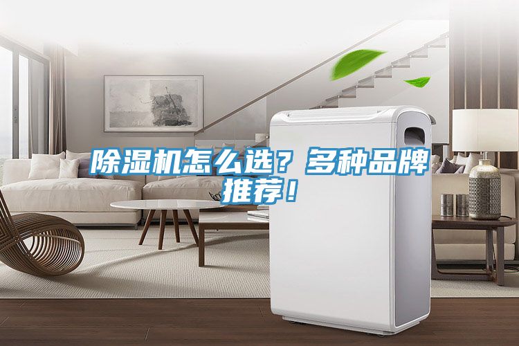 除濕機(jī)怎么選？多種品牌推薦！