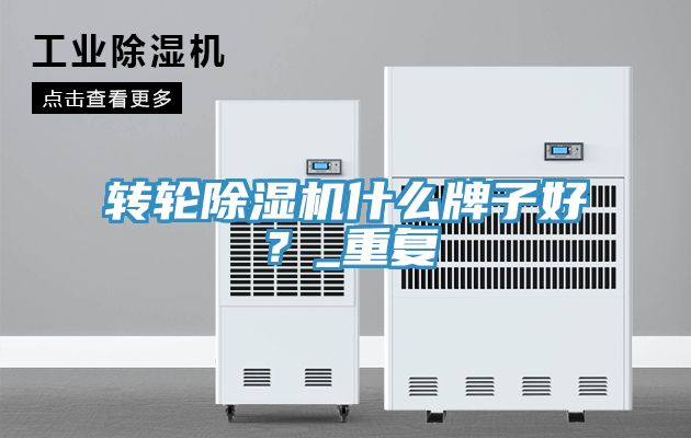 轉輪除濕機什么牌子好？_重復