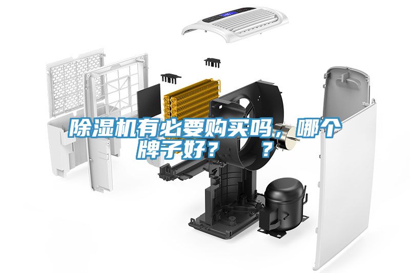 除濕機(jī)有必要購買嗎，哪個(gè)牌子好？  ？