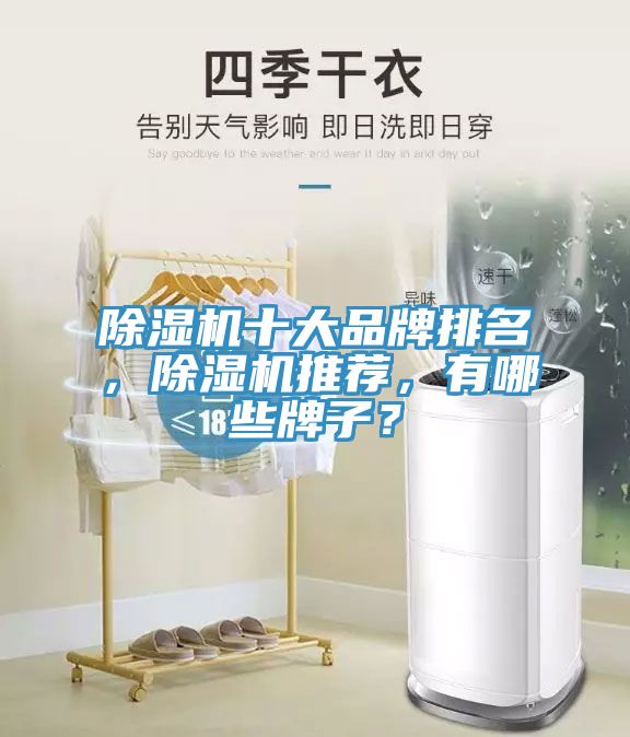 除濕機(jī)十大品牌排名，除濕機(jī)推薦，有哪些牌子？