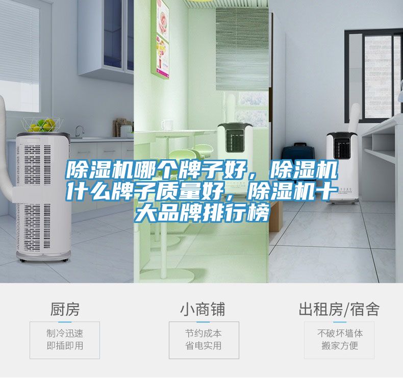 除濕機(jī)哪個(gè)牌子好，除濕機(jī)什么牌子質(zhì)量好，除濕機(jī)十大品牌排行榜