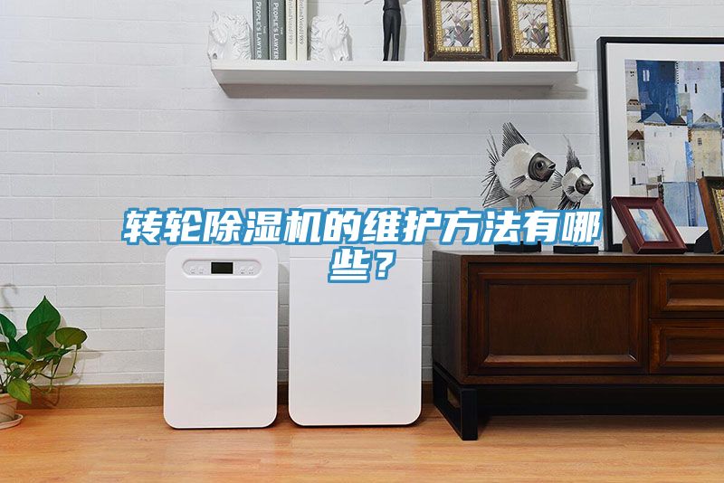 轉(zhuǎn)輪除濕機(jī)的維護(hù)方法有哪些？