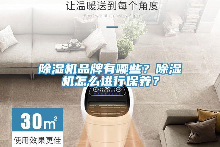 除濕機(jī)品牌有哪些？除濕機(jī)怎么進(jìn)行保養(yǎng)？