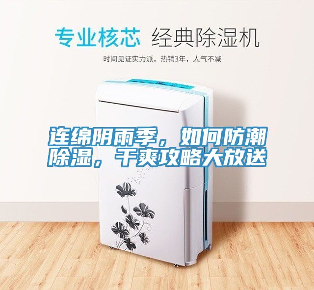 連綿陰雨季，如何防潮除濕，干爽攻略大放送