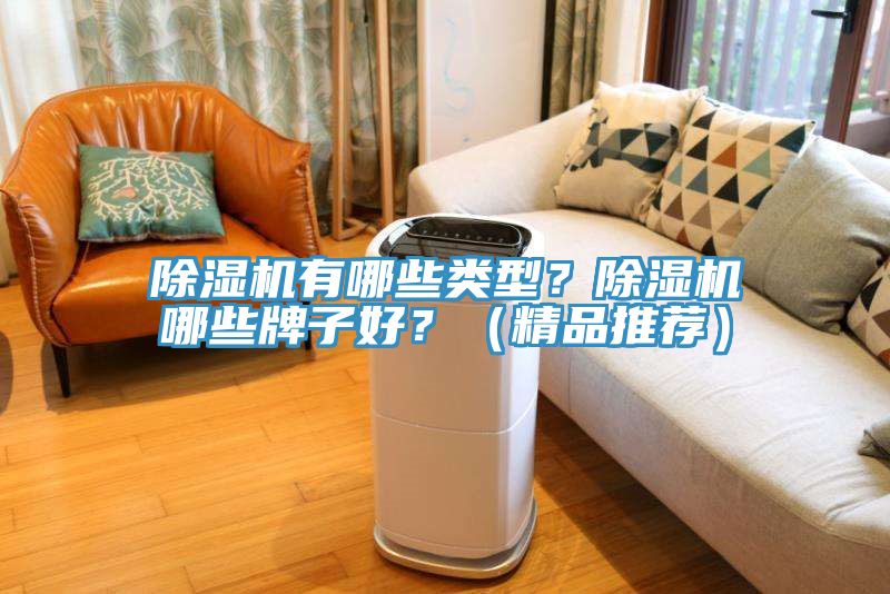 除濕機(jī)有哪些類型？除濕機(jī)哪些牌子好？（精品推薦）