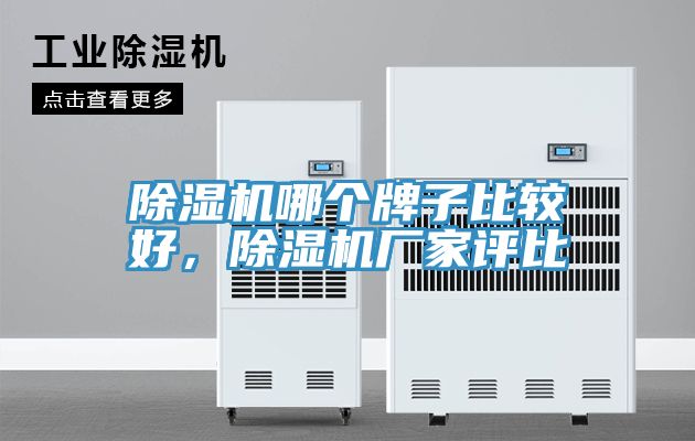 除濕機(jī)哪個牌子比較好，除濕機(jī)廠家評比