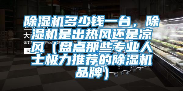 除濕機(jī)多少錢一臺，除濕機(jī)是出熱風(fēng)還是涼風(fēng)（盤點(diǎn)那些專業(yè)人士極力推薦的除濕機(jī)品牌）
