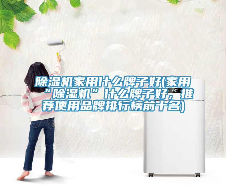 除濕機家用什么牌子好(家用“除濕機”什么牌子好，推薦使用品牌排行榜前十名)