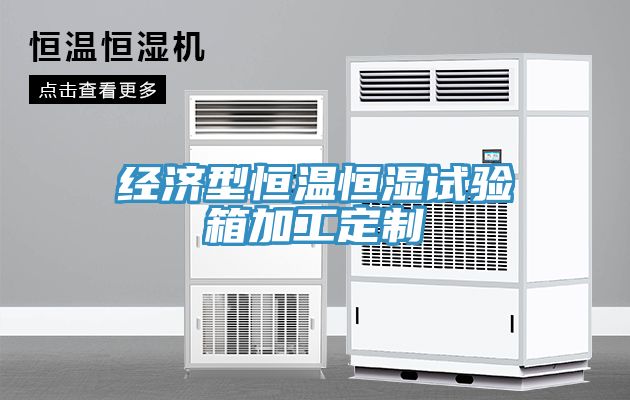 經(jīng)濟型恒溫恒濕試驗箱加工定制