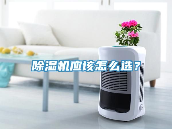 除濕機(jī)應(yīng)該怎么選？