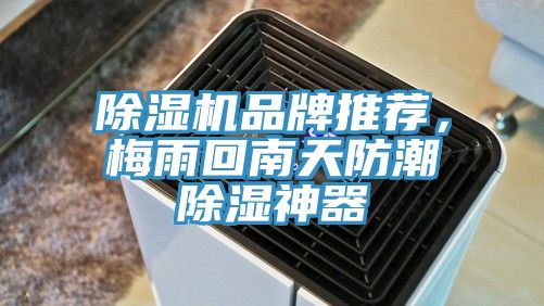除濕機(jī)品牌推薦，梅雨回南天防潮除濕神器