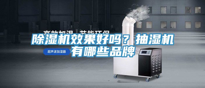 除濕機效果好嗎？抽濕機有哪些品牌