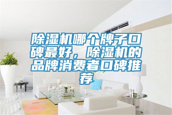 除濕機(jī)哪個(gè)牌子口碑最好，除濕機(jī)的品牌消費(fèi)者口碑推薦