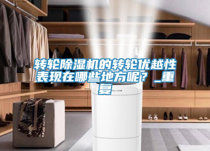 轉(zhuǎn)輪除濕機(jī)的轉(zhuǎn)輪優(yōu)越性表現(xiàn)在哪些地方呢？_重復(fù)