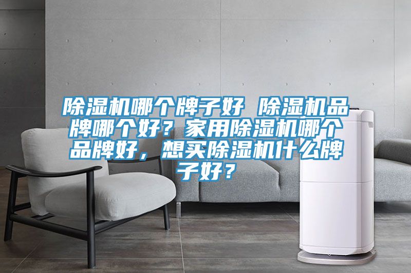 除濕機哪個牌子好 除濕機品牌哪個好？家用除濕機哪個品牌好，想買除濕機什么牌子好？