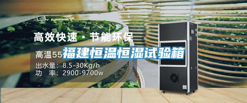 福建恒溫恒濕試驗(yàn)箱