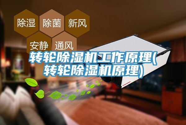 轉(zhuǎn)輪除濕機(jī)工作原理(轉(zhuǎn)輪除濕機(jī)原理)