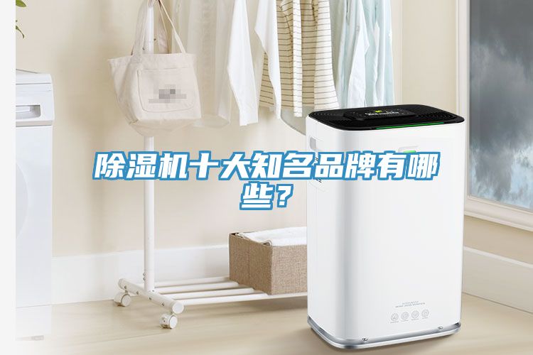 除濕機十大知名品牌有哪些？