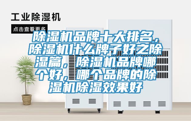 除濕機品牌十大排名，除濕機什么牌子好之除濕篇，除濕機品牌哪個好，哪個品牌的除濕機除濕效果好