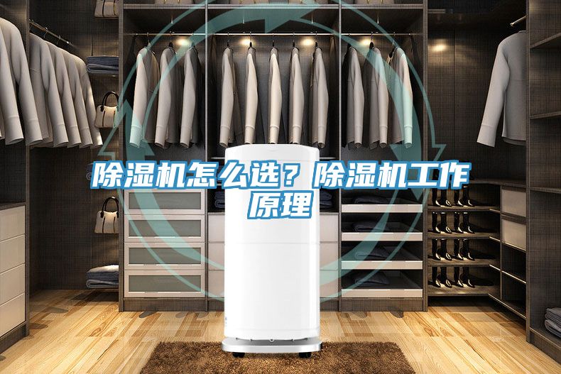 除濕機怎么選？除濕機工作原理