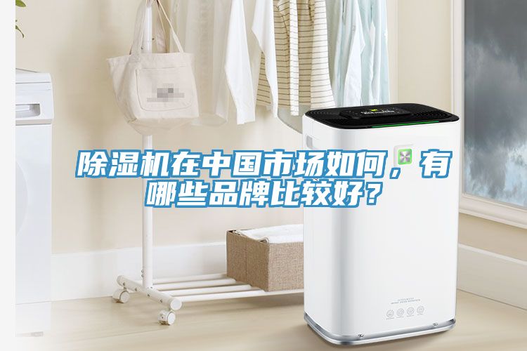 除濕機(jī)在中國(guó)市場(chǎng)如何，有哪些品牌比較好？