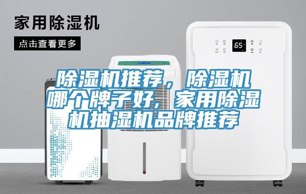 除濕機推薦，除濕機哪個牌子好, 家用除濕機抽濕機品牌推薦