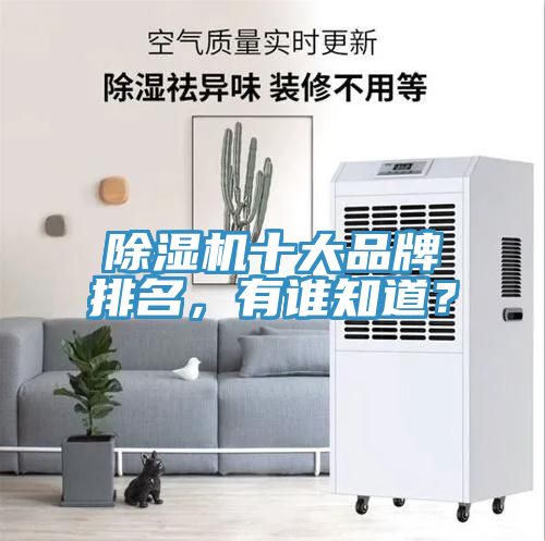 除濕機(jī)十大品牌排名，有誰知道？