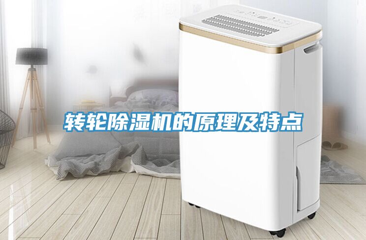 轉(zhuǎn)輪除濕機的原理及特點