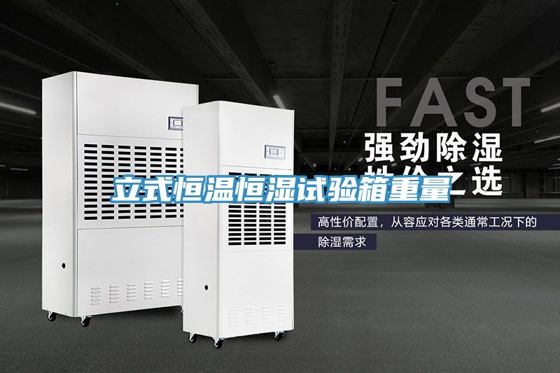 立式恒溫恒濕試驗箱重量