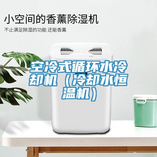 空冷式循環(huán)水冷卻機(jī)（冷卻水恒溫機(jī)）