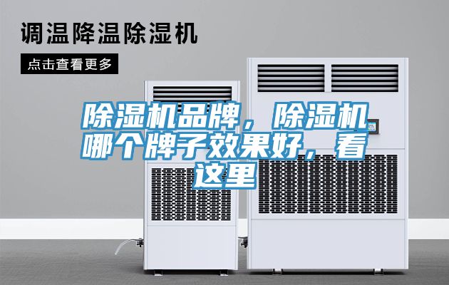 除濕機品牌，除濕機哪個牌子效果好，看這里