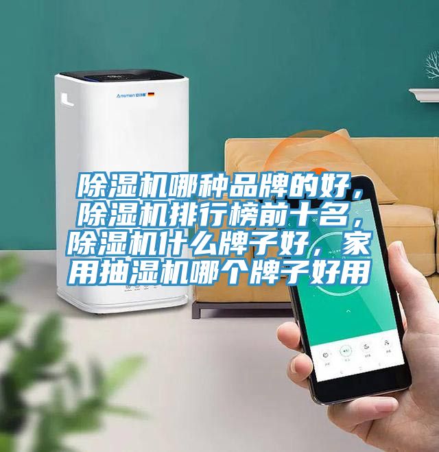 除濕機(jī)哪種品牌的好，除濕機(jī)排行榜前十名，除濕機(jī)什么牌子好，家用抽濕機(jī)哪個(gè)牌子好用