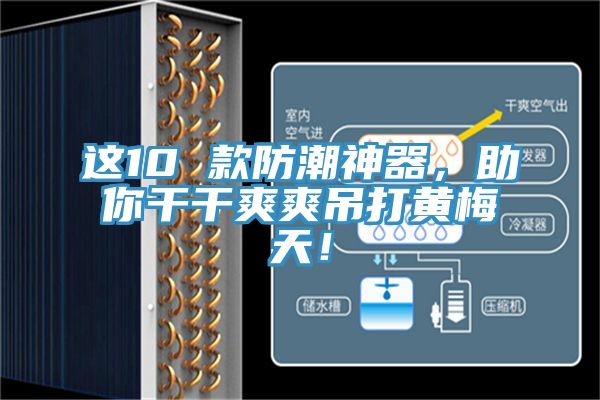 這10 款防潮神器，助你干干爽爽吊打黃梅天！