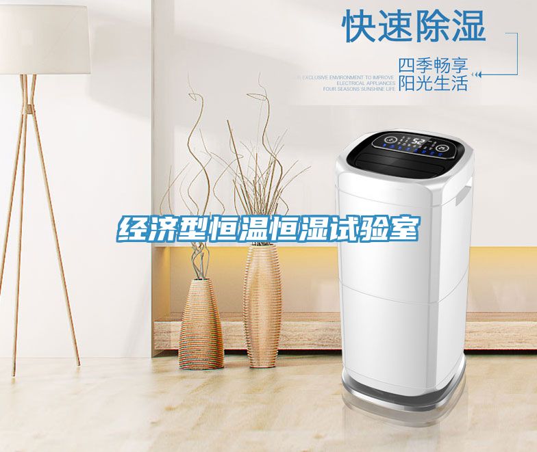 經(jīng)濟型恒溫恒濕試驗室