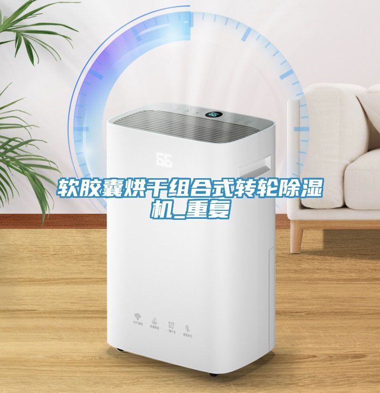 軟膠囊烘干組合式轉輪除濕機_重復