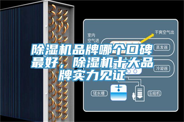 除濕機品牌哪個口碑最好，除濕機十大品牌實力見證
