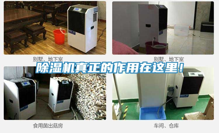 除濕機真正的作用在這里！