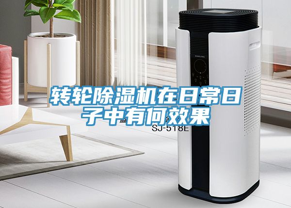 轉(zhuǎn)輪除濕機(jī)在日常日子中有何效果